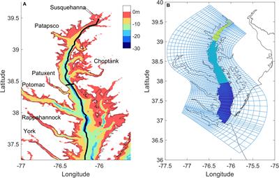 Effects of Wind-Driven Lateral Upwelling on Estuarine Carbonate Chemistry